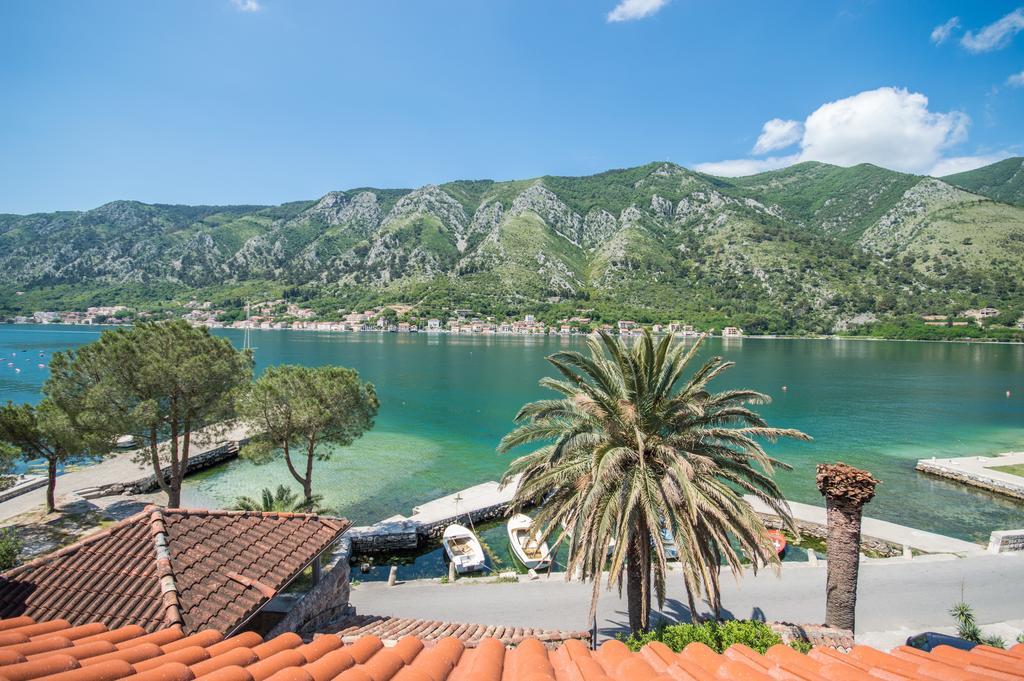 Radimir Daire Kotor