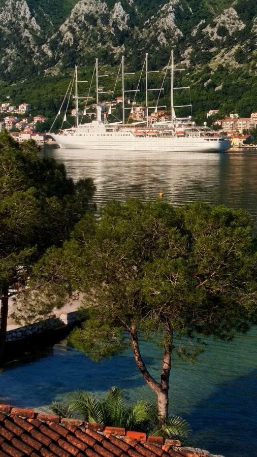 Radimir * Kotor